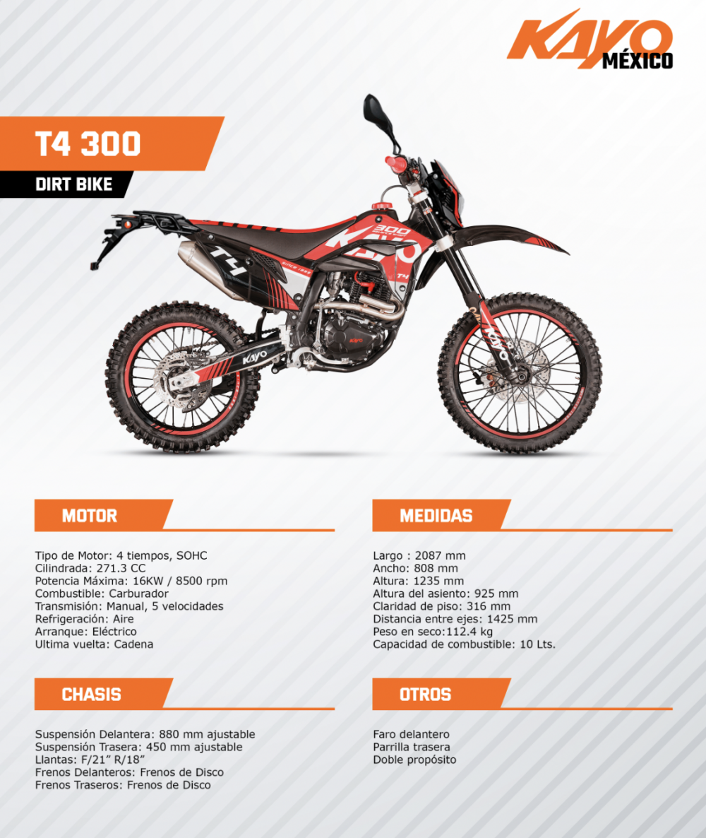 T4 300 - Imagen 2
